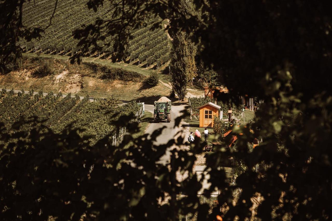 Вілла Weingut Kollerhof Am Eichberg Лойчах Екстер'єр фото