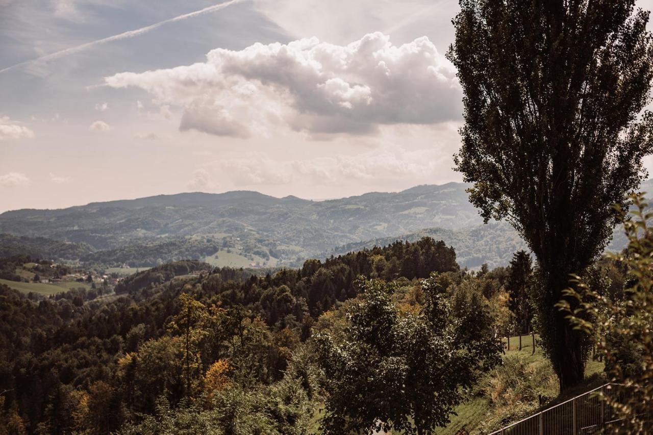 Вілла Weingut Kollerhof Am Eichberg Лойчах Екстер'єр фото